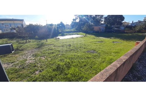 Helårsgrund i Quinta do Conde, Setubal, Quinta do Conde - € 140.000 | Ref: 10233 - foto 31
