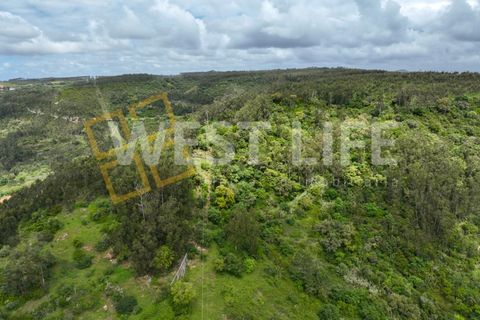 Helårsgrund i Mafra, Lisbon, Mafra - € 59.000 | Ref: 5857WE - foto 1