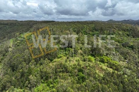 Helårsgrund i Mafra, Lisbon, Mafra - € 59.000 | Ref: 5857WE - foto 2