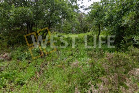 Helårsgrund i Mafra, Lisbon, Mafra - € 59.000 | Ref: 5857WE - foto 6