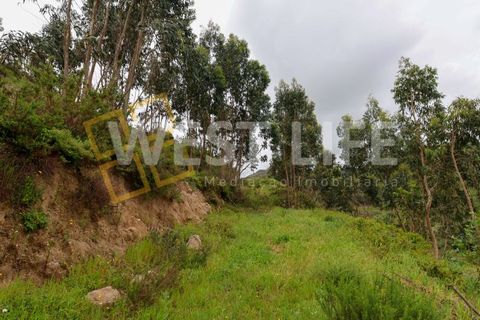 Helårsgrund i Mafra, Lisbon, Mafra - € 59.000 | Ref: 5857WE - foto 7