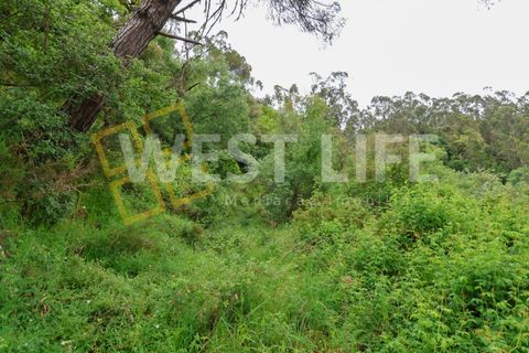 Helårsgrund i Mafra, Lisbon, Mafra - € 59.000 | Ref: 5857WE - foto 8