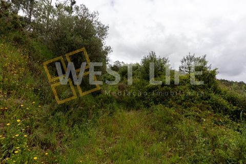Helårsgrund i Mafra, Lisbon, Mafra - € 59.000 | Ref: 5857WE - foto 10