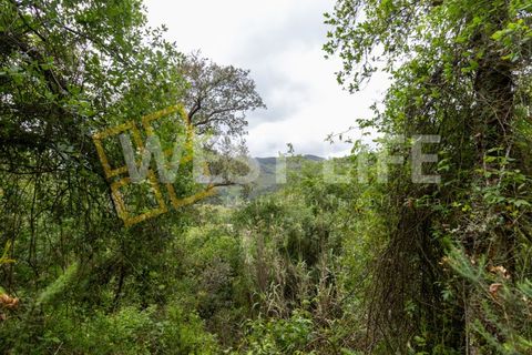 Helårsgrund i Mafra, Lisbon, Mafra - € 59.000 | Ref: 5857WE - foto 11