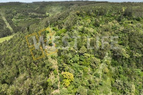 Helårsgrund i Mafra, Lisbon, Mafra - € 59.000 | Ref: 5857WE - foto 12