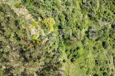 Helårsgrund i Mafra, Lisbon, Mafra - € 59.000 | Ref: 5857WE - foto 13