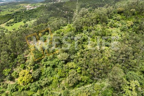 Helårsgrund i Mafra, Lisbon, Mafra - € 59.000 | Ref: 5857WE - foto 14