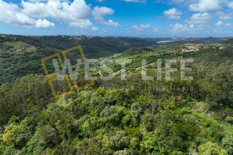 Helårsgrund i Mafra, Lisbon, Mafra - € 59.000 | Ref: 5857WE - foto 15