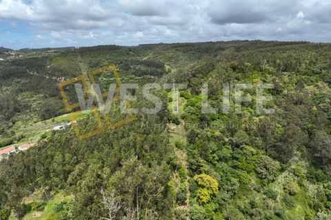 Helårsgrund i Mafra, Lisbon, Mafra - € 59.000 | Ref: 5857WE - foto 16
