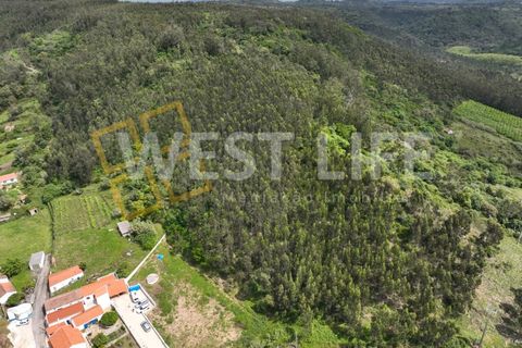 Helårsgrund i Mafra, Lisbon, Mafra - € 59.000 | Ref: 5857WE - foto 17