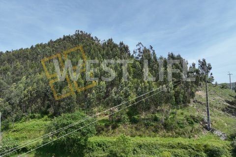 Helårsgrund i Mafra, Lisbon, Mafra - € 59.000 | Ref: 5857WE - foto 18