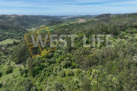 Helårsgrund i Mafra, Lisbon, Mafra - € 59.000 | Ref: 5857WE - foto 19