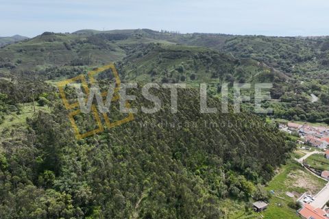 Helårsgrund i Mafra, Lisbon, Mafra - € 59.000 | Ref: 5857WE - foto 20