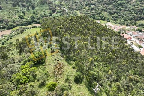 Helårsgrund i Mafra, Lisbon, Mafra - € 59.000 | Ref: 5857WE - foto 21