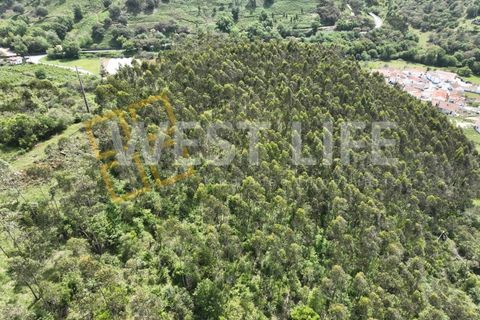 Helårsgrund i Mafra, Lisbon, Mafra - € 59.000 | Ref: 5857WE - foto 22
