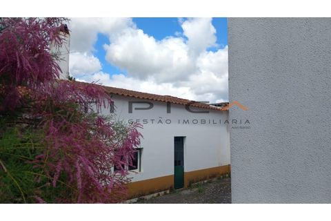 Farm i Azambuja, Lisbon, Azambuja - € 329.000 | Ref: 3240 - foto 2