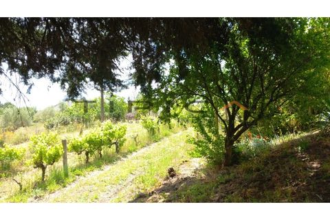 Farm i Azambuja, Lisbon, Azambuja - € 329.000 | Ref: 3240 - foto 3