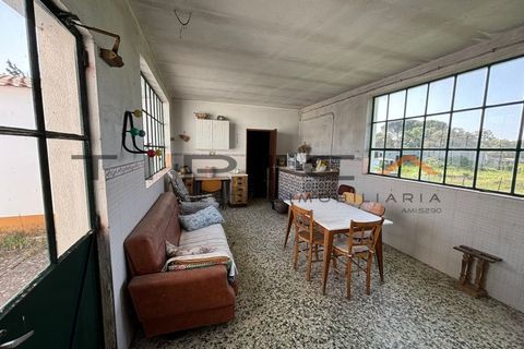 Farm i Azambuja, Lisbon, Azambuja - € 329.000 | Ref: 3240 - foto 12