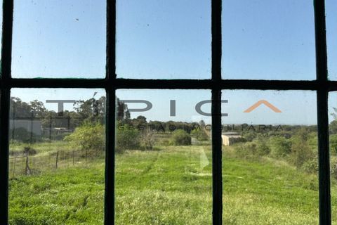 Farm i Azambuja, Lisbon, Azambuja - € 329.000 | Ref: 3240 - foto 13