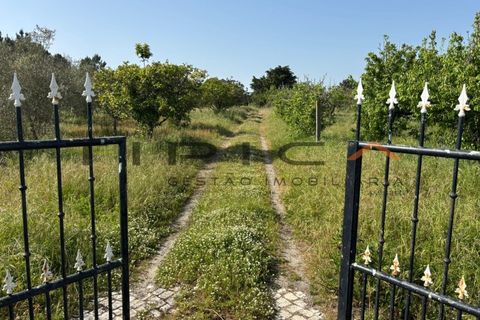 Farm i Azambuja, Lisbon, Azambuja - € 329.000 | Ref: 3240 - foto 15