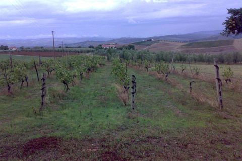 Farm hus i Cinigiano, Grosseto, Cinigiano - € 390.000 | Ref: A2617TA2474697A-1081211 - foto 21