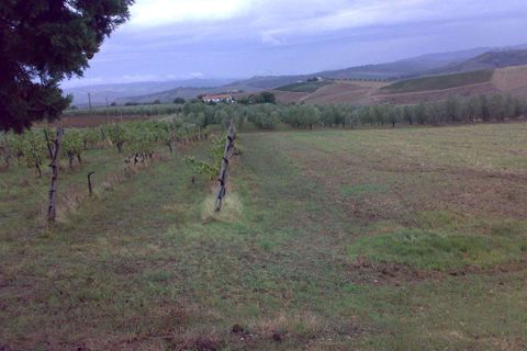 Farm hus i Cinigiano, Grosseto, Cinigiano - € 390.000 | Ref: A2617TA2474697A-1081211 - foto 22