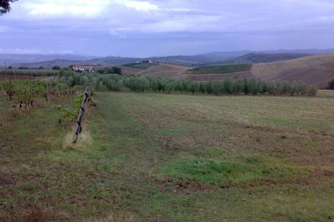 Farm hus i Cinigiano, Grosseto, Cinigiano - € 390.000 | Ref: A2617TA2474697A-1081211 - foto 23