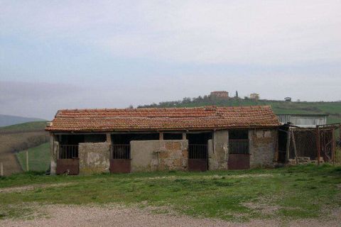Farm hus i Cinigiano, Grosseto, Cinigiano - € 390.000 | Ref: A2617TA2474697A-1081211 - foto 24