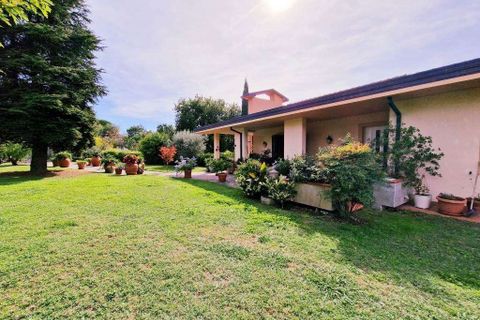Villa a Montecarlo, Lucca, Montecarlo - € 1.100.000 | Ref: A6551RV2526094A-1081376 - foto 27