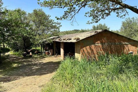 Farm hus i Roccastrada, Grosseto, Roccastrada - € 2.370.000 | Ref: A7631TA2334919A-1081898 - foto 3