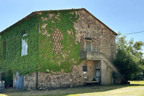 Farm hus i Roccastrada, Grosseto, Roccastrada - € 2.370.000 | Ref: A7631TA2334919A-1081898 - foto 9