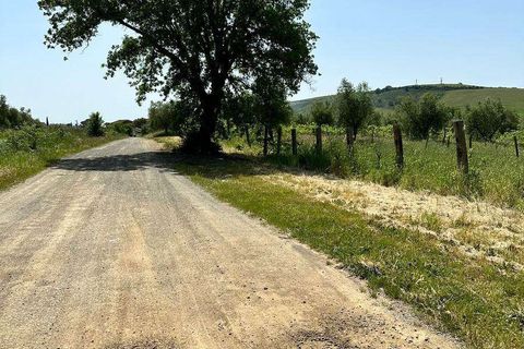 Farm hus i Roccastrada, Grosseto, Roccastrada - € 2.370.000 | Ref: A7631TA2334919A-1081898 - foto 12