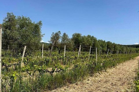 Farm hus i Roccastrada, Grosseto, Roccastrada - € 2.370.000 | Ref: A7631TA2334919A-1081898 - foto 15