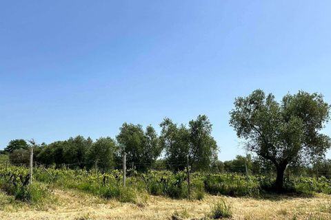 Farm hus i Roccastrada, Grosseto, Roccastrada - € 2.370.000 | Ref: A7631TA2334919A-1081898 - foto 18