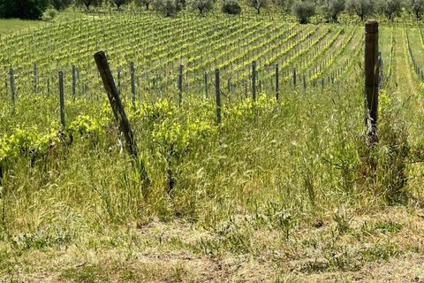 Farm hus i Roccastrada, Grosseto, Roccastrada - € 2.370.000 | Ref: A7631TA2334919A-1081898 - foto 20