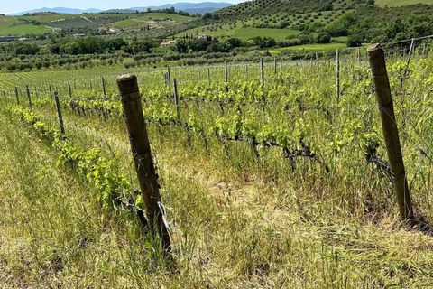 Farm hus i Roccastrada, Grosseto, Roccastrada - € 2.370.000 | Ref: A7631TA2334919A-1081898 - foto 23
