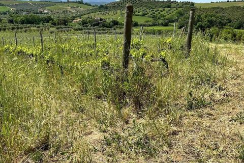 Farm hus i Roccastrada, Grosseto, Roccastrada - € 2.370.000 | Ref: A7631TA2334919A-1081898 - foto 24