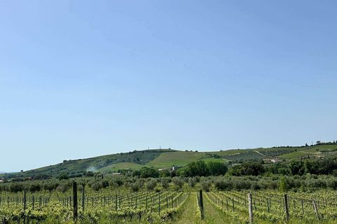 Farm hus i Roccastrada, Grosseto, Roccastrada - € 2.370.000 | Ref: A7631TA2334919A-1081898 - foto 26
