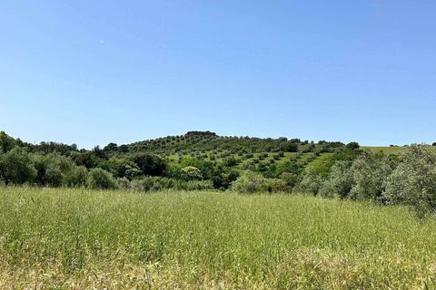 Farm hus i Roccastrada, Grosseto, Roccastrada - € 2.370.000 | Ref: A7631TA2334919A-1081898 - foto 28