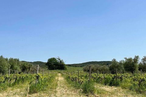 Farm hus i Roccastrada, Grosseto, Roccastrada - € 2.370.000 | Ref: A7631TA2334919A-1081898 - foto 29