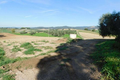 Farm hus i Roccastrada, Grosseto, Roccastrada - € 780.000 | Ref: A7631TA2125665A-1082075 - foto 2