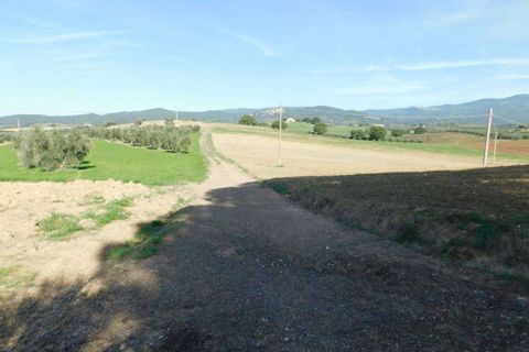 Farm hus i Roccastrada, Grosseto, Roccastrada - € 780.000 | Ref: A7631TA2125665A-1082075 - foto 4