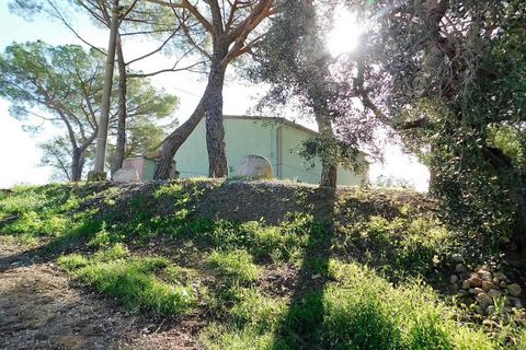 Farm hus i Roccastrada, Grosseto, Roccastrada - € 780.000 | Ref: A7631TA2125665A-1082075 - foto 5