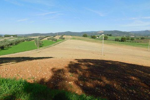 Farm hus i Roccastrada, Grosseto, Roccastrada - € 780.000 | Ref: A7631TA2125665A-1082075 - foto 6