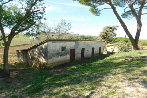 Farm hus i Roccastrada, Grosseto, Roccastrada - € 780.000 | Ref: A7631TA2125665A-1082075 - foto 11