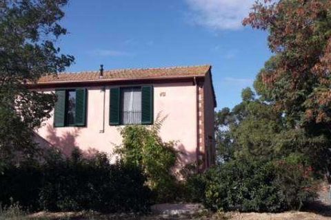 Farm hus i Follonica, Grosseto, Follonica - € 3.000.000 | Ref: A7631TA1417232A-1082654 - foto 10