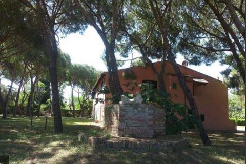 Farm hus i Follonica, Grosseto, Follonica - € 3.000.000 | Ref: A7631TA1417100A-1082667 - foto 8