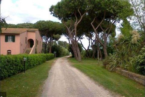 Farm hus i Follonica, Grosseto, Follonica - € 3.000.000 | Ref: A7631TA1417100A-1082667 - foto 10