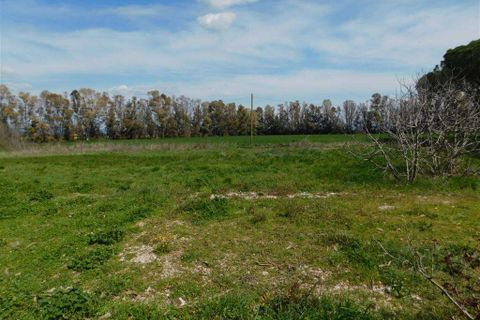 Farm hus i Follonica, Grosseto, Follonica - € 3.000.000 | Ref: A7631TA1417100A-1082667 - foto 17