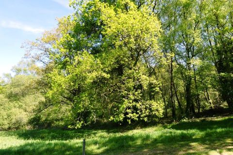 Landejendom i Ploerdut, Morbihan, Ploerdut - € 492.400 | Ref: 56075-2483 - foto 31